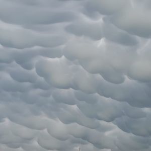 Meet your Posher, Hunter